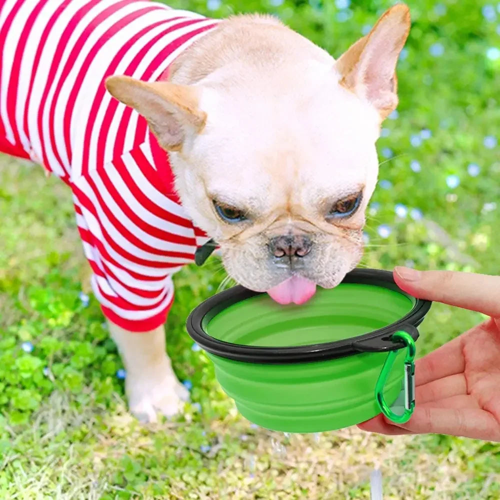 Collapsible pet Bowls