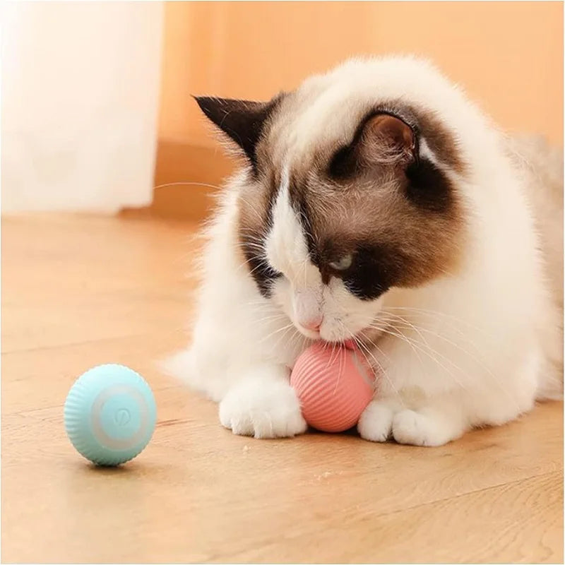 Electric Cat Ball Toys